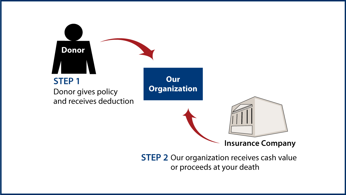 Life Insurance Policy Thumbnail